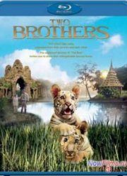 Два брата (2004)