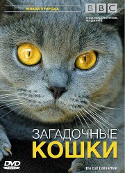 BBC: ���������� ����� (2002)