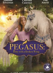 Пони с перебитым крылом / Пегас: Пони со сломанным крылом (2019)