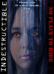 Неуязвимый: Негде спрятаться (2020)