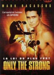 ������ ���������� (1993)