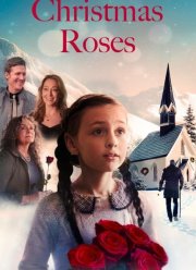 Рождественские розы (2025)