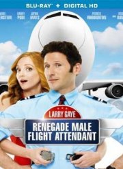 Ларри Гэй: Стюард-отступник / Суперстюард (2015)