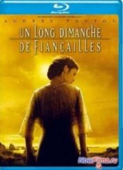 Долгая помолвка (2004)