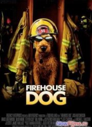 Пожарный пес (2007)
