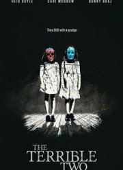 Зловещая двойня (2017)