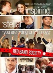 Красные браслеты (2014)