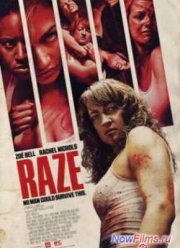 Уничтожение (2013)