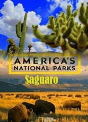 Национальные парки Америки. Сагуаро (2015)