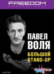 Павел Воля. Большой Stand Up / Концерт в театре эстрады (2013)