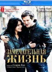 Замечательная жизнь (2011)