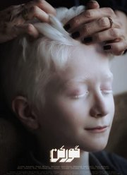 Барсук (2020)