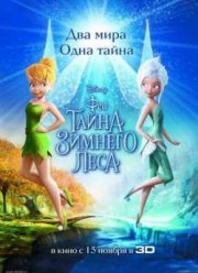 Феи: Тайна зимнего леса (2012)