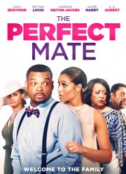 Идеальный партнёр (2020)