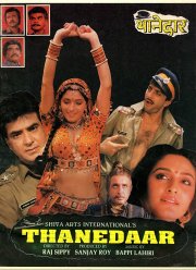 Инспектор полиции (1990)