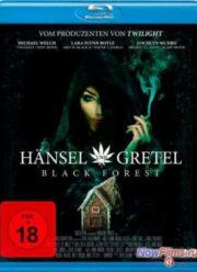 Темный лес: Ганс, Грета и 420-я ведьма (2013)