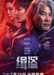 Поймать воров (2025)