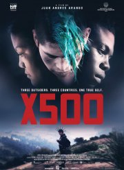 500 (2016)