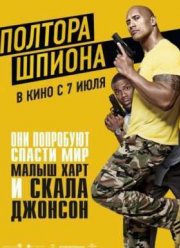 Полтора шпиона (2016)