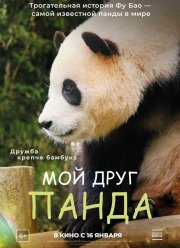 Мой друг панда (2024)