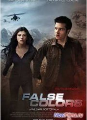 Под чужим именем (2014)