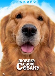 Люблю свою собаку (2023)
