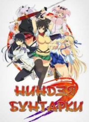 Ниндзя бунтарки (2013)