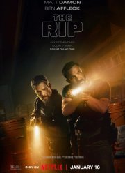 ������� ����� (2026)