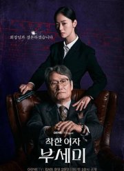 Госпожа Инкогнито / Хорошая женщина Бу Се Ми (2025)