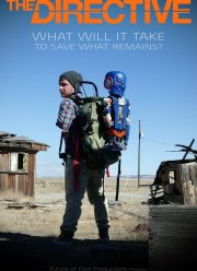Директива (2019)