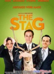 Мальчишник по-ирландски (2013)