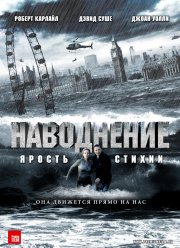 Наводнение (2007)