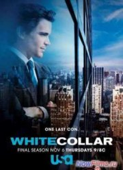 Белый воротничок (2014) 6 Сезон