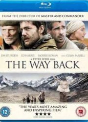 Путь домой (2010)