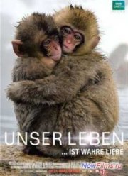 Одна жизнь (2011)