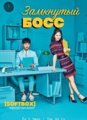 Необщительный босс (2017)