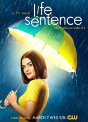 Пожизненный приговор (2018)