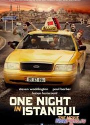 Одна ночь в Стамбуле (2014)