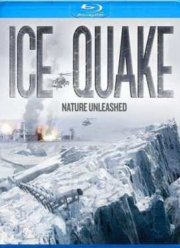 Ледяная дрожь (2010)