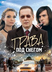 Трава под снегом (2010)