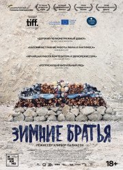 Зимние братья (2017)