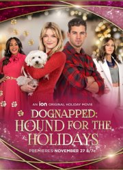 Похищение: щенок на праздники (2022)