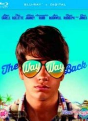 Дорога, дорога домой (2013)