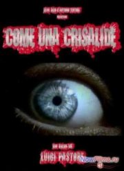 Симфония в кроваво-красных тонах (2010)