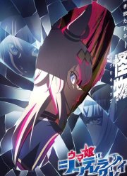 Девушки-пони: Серая Золушка (1-2 Сезон)