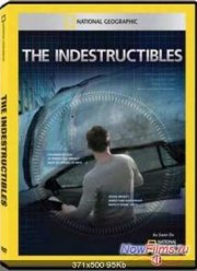 National Geographic. Несокрушимые (2011)