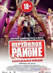 Переполох на районе (2013)
