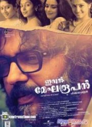 Жизнь поэта (2012)