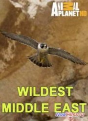 Природа Ближнего Востока (2014)