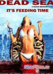 Мертвое море (2014)